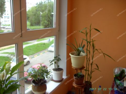 1-komnatnaya-b-r-60-letiya-oktyabrya-d-5a фото