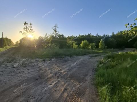 selo-bezvodnoe-kstovskiy-rayon фото