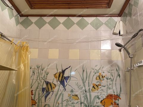 3-komnatnaya-ul-timiryazeva-d-1 фото