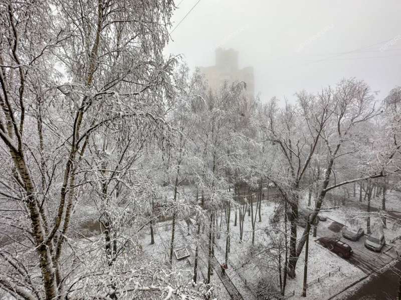 трёхкомнатная квартира на улице Маршала Жукова дом 2