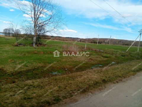 derevnya-inyutino-bogorodskiy-municipalnyy-okrug фото