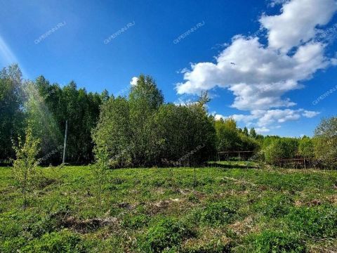 derevnya-berezovka-bogorodskiy-municipalnyy-okrug фото