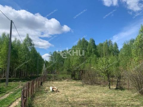 dom-derevnya-maloe-sitnikovo-gorodskoy-okrug-bor фото