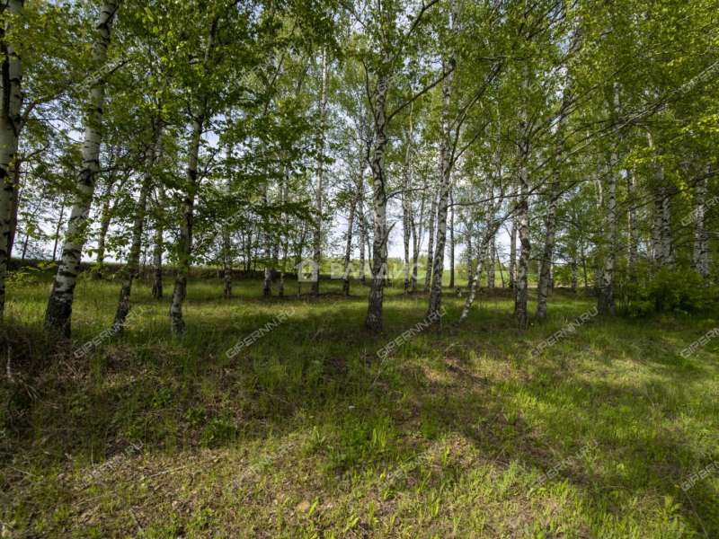 земельный участок 18 соток Овражная улица деревня Майдан