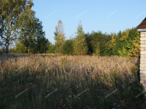 derevnya-kamenka-kstovskiy-rayon фото