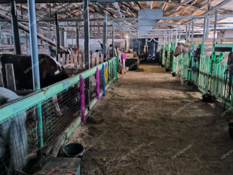 помещение под помещение свободного назначения на  деревня Чаглава