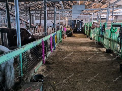 derevnya-chaglava-kstovskiy-rayon фото