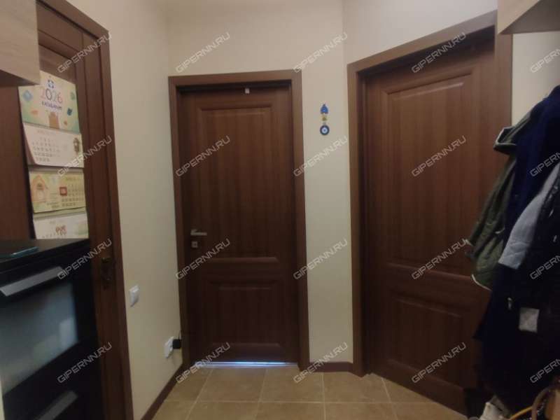 двухкомнатная квартира на Черкесской улице дом 3 деревня Анкудиновка