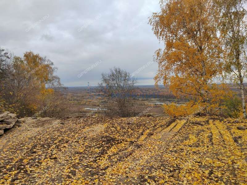 дом на Магистральной улице деревня Афонино