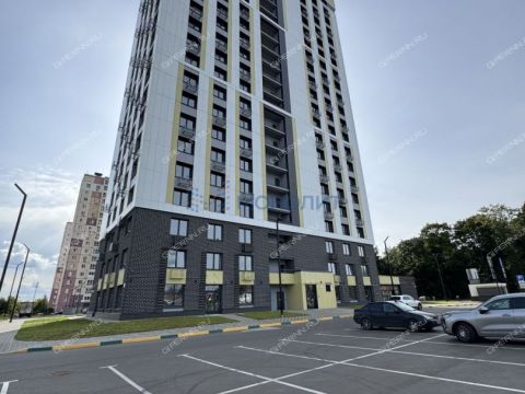 1-komnatnaya-ul-rodionova-d-31 фото