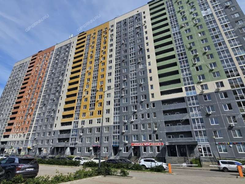 однокомнатная квартира на Русской улице улице дом 5 деревня Анкудиновка