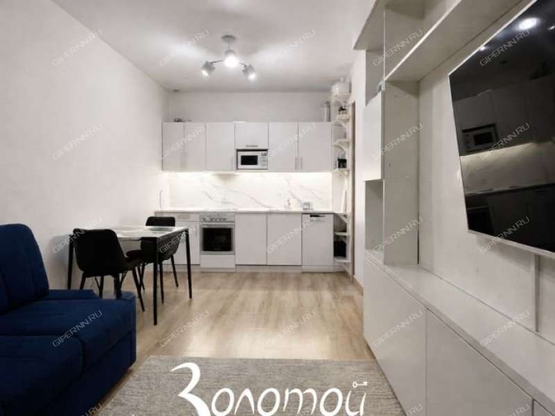 однокомнатная квартира на Русской улице улице дом 15 деревня Анкудиновка