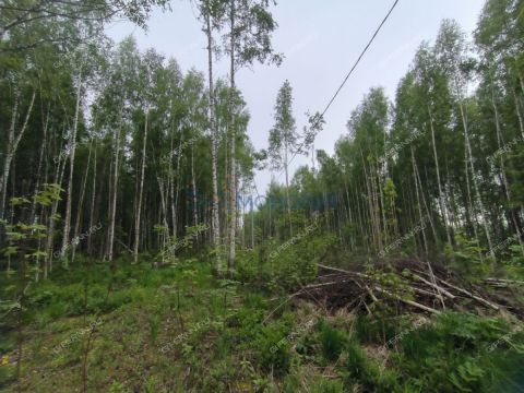 derevnya-besedy-gorodskoy-okrug-chkalovsk фото