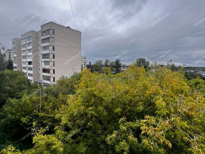 двухкомнатная квартира на проспекте Циолковского дом 37 город Дзержинск