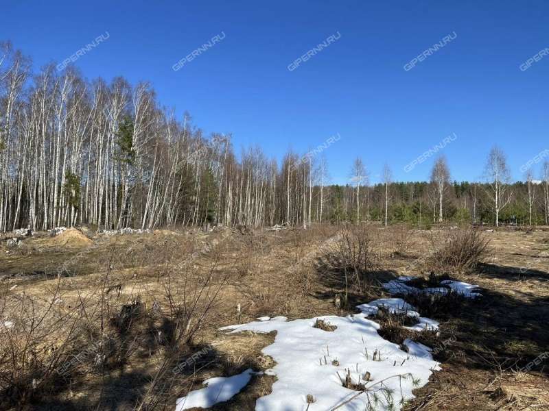 земельный участок под сельхоз назначение в Городецком районе Нижегородской области