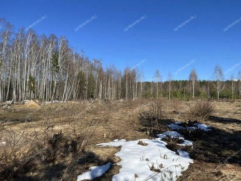 derevnya-soboliha-gorodeckiy-rayon фото