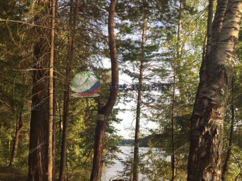 земельный участок 24 сотки деревня Вязовики