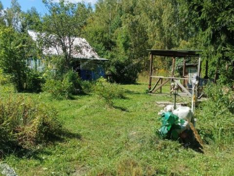 snt-berezka-1-bogorodskiy-municipalnyy-okrug фото