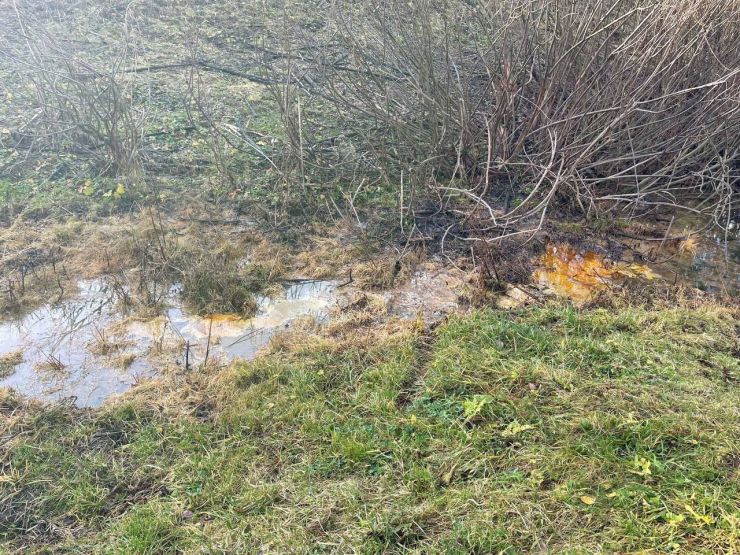 Фото: rpn.gov.ru