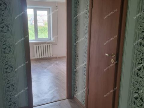 1-komnatnaya-derevnya-podlesovo-kstovskiy-rayon фото