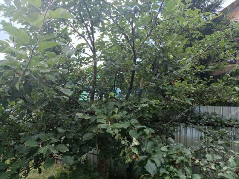 дом на улице Ягодная деревня Мериново