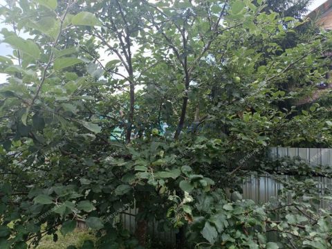 dom-derevnya-merinovo-semenovskiy-gorodskoy-okrug фото