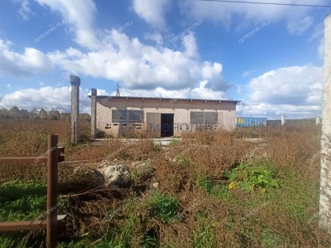 selo-vtorusskoe-gorodskoy-okrug-arzamas фото