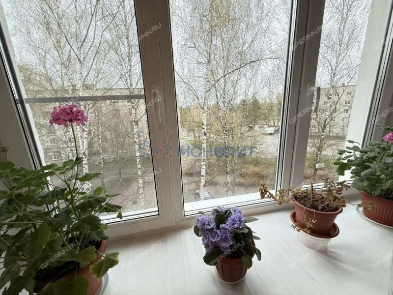 однокомнатная квартира на Молодёжной улице дом 1 город Дзержинск