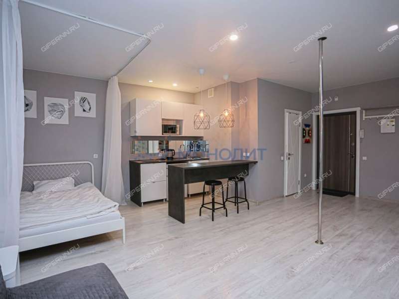 квартира-студия на Академической улице дом 12 деревня Афонино