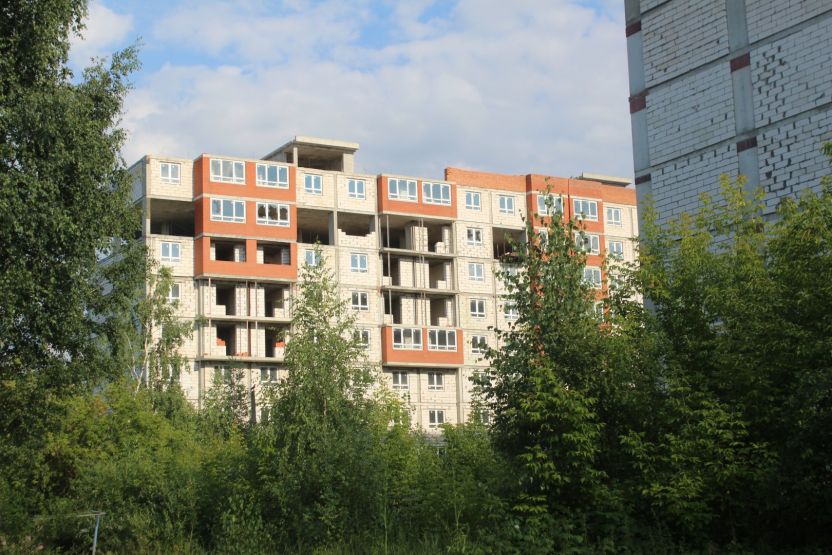 Фото: Ксения Ражева / gipernn.ru