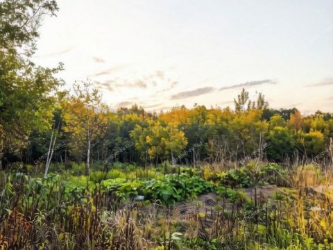 derevnya-lipovki-balahninskiy-municipalnyy-okrug фото