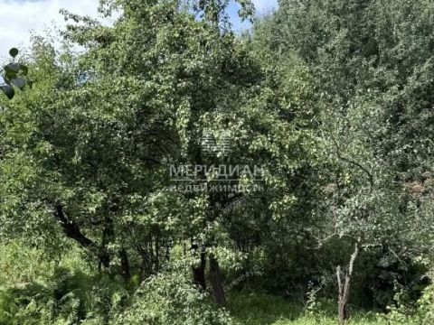 gorod-balahna-balahninskiy-municipalnyy-okrug фото