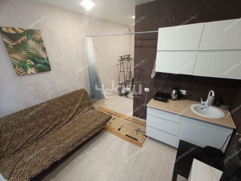 kvartira-studiya-ul-geroya-bezrukova-d-2 фото