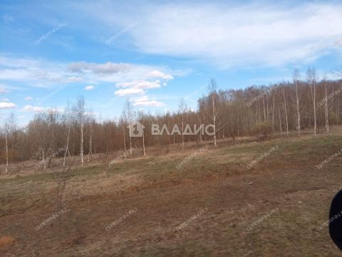 derevnya-inyutino-bogorodskiy-municipalnyy-okrug фото