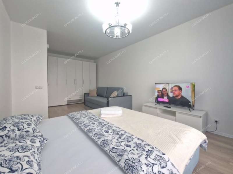 однокомнатная квартира на Московском шоссе дом 167 к3