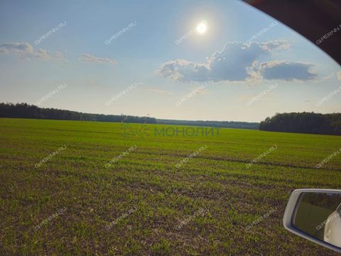 derevnya-bugry-dalnekonstantinovskiy-rayon фото