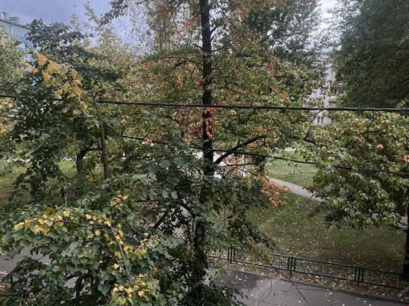 двухкомнатная квартира на Юбилейном бульваре дом 11