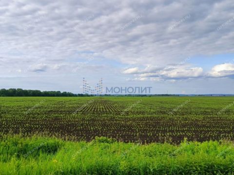 3-komnatnaya-selo-vypolzovo-shatkovskiy-rayon фото