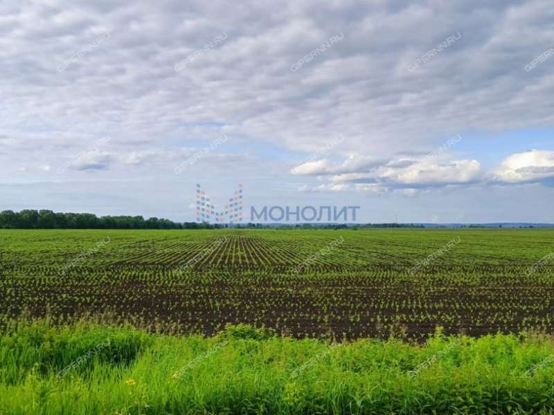 трёхкомнатная квартира на улице Молодёжная дом 14 село Выползово