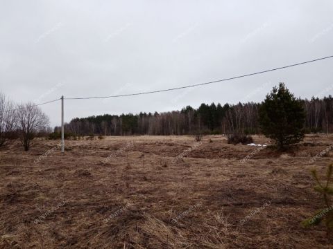 derevnya-nepecino-bogorodskiy-municipalnyy-okrug фото