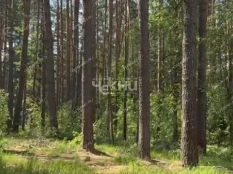 derevnya-zuevo-gorodskoy-okrug-bor фото