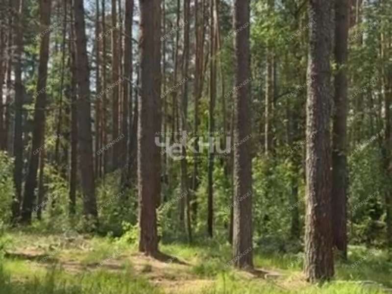 земельный участок 15 соток деревня Зуево