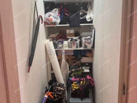 2-komnatnaya-derevnya-ankudinovka-kstovskiy-rayon фото