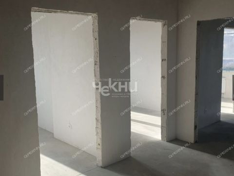 1-komnatnaya-derevnya-afonino-kstovskiy-rayon фото
