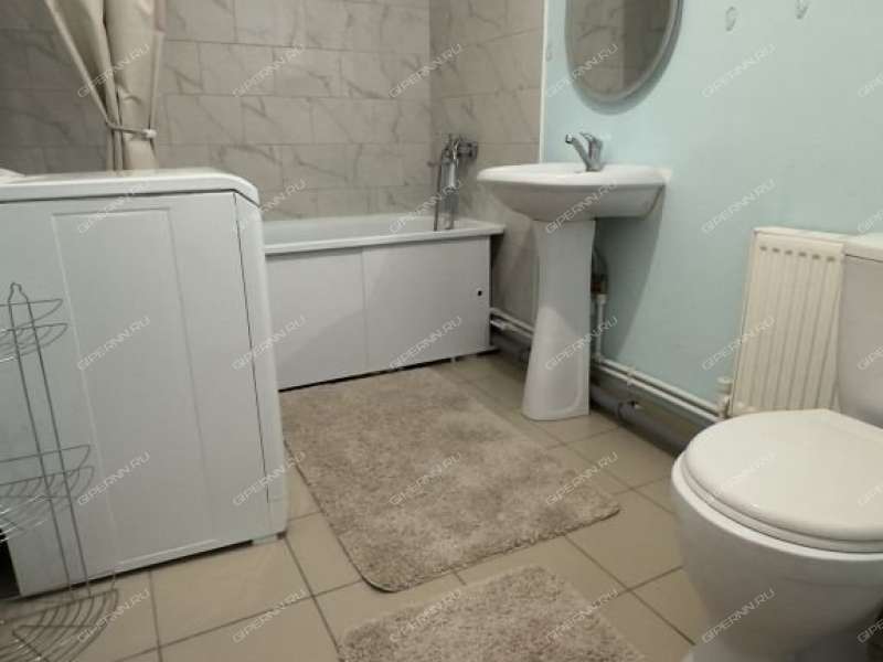 дом на улице Зеленогорская деревня Черемисское