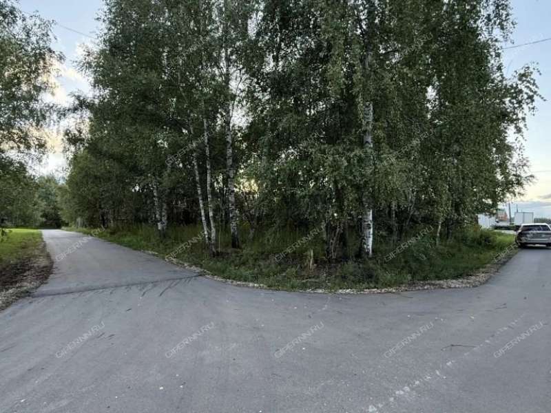 земельный участок 10 соток деревня Утечино