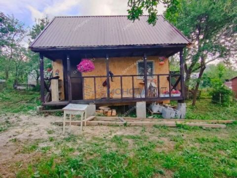 dacha-snt-druzhba-snt-druzhba фото