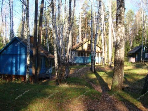 derevnya-syrohvatovo-gorodskoy-okrug-bor фото