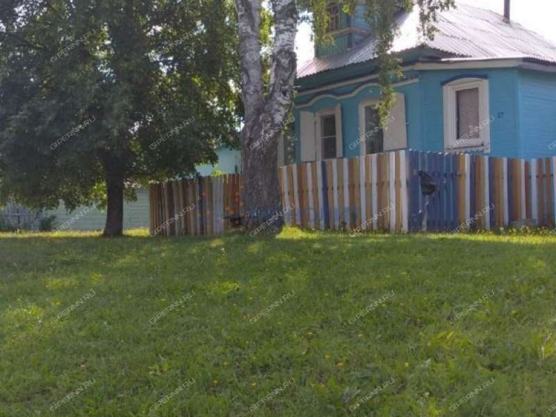 дом на Центральная село Малое Мурашкино