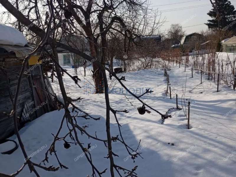 дача в садовом товариществе Труд город Бор